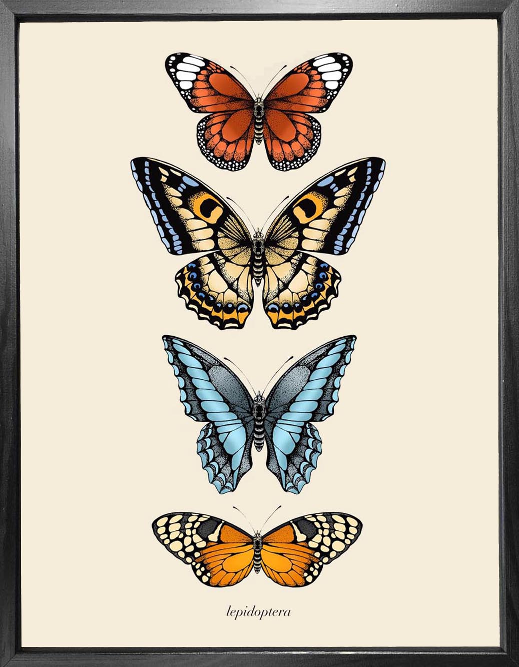'Antique Tropical Butterflies III' Fine Art Print