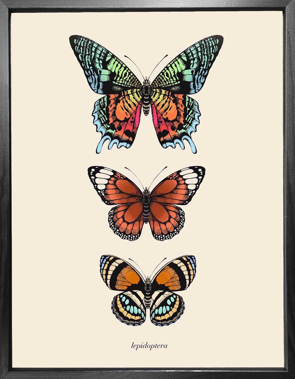 'Antique Tropical Butterflies I' Fine Art Print