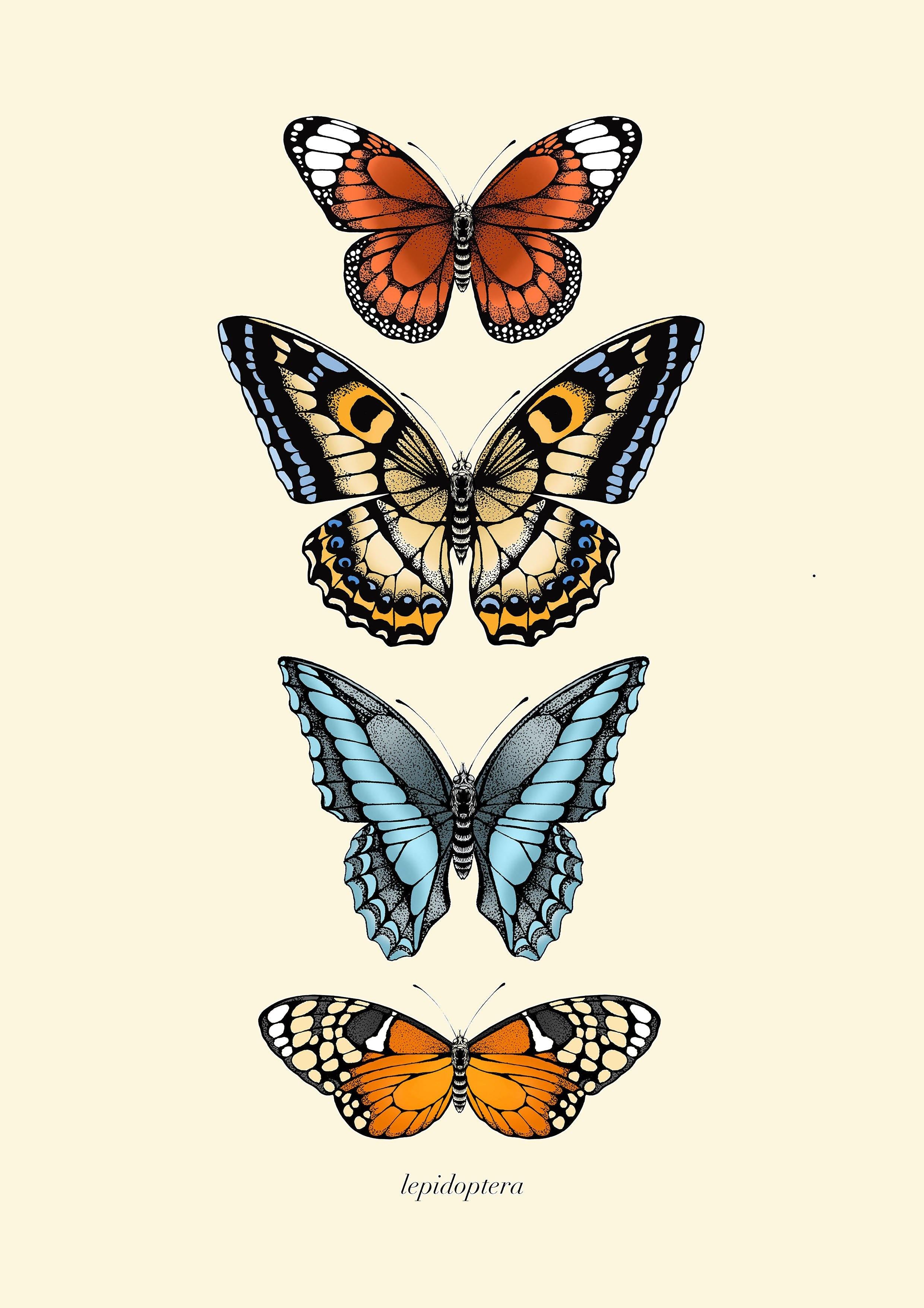 'Antique Tropical Butterflies III' Fine Art Print - Emily Carter London