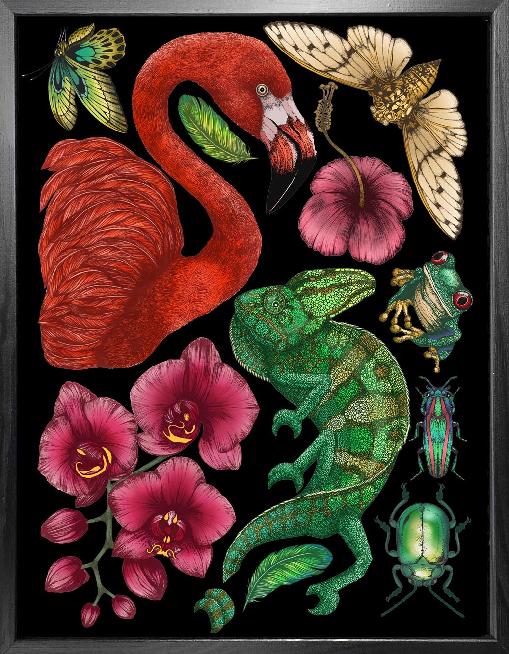 'Antique Tropical Flora & Fauna - Black' Fine Art Print