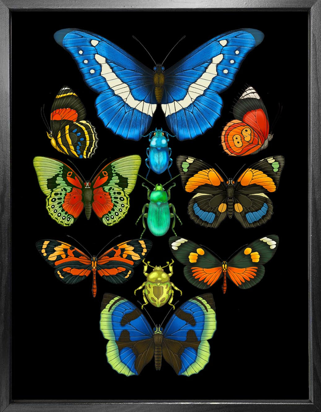 'Antique Tropical Butterflies & Beetles' Fine Art Print