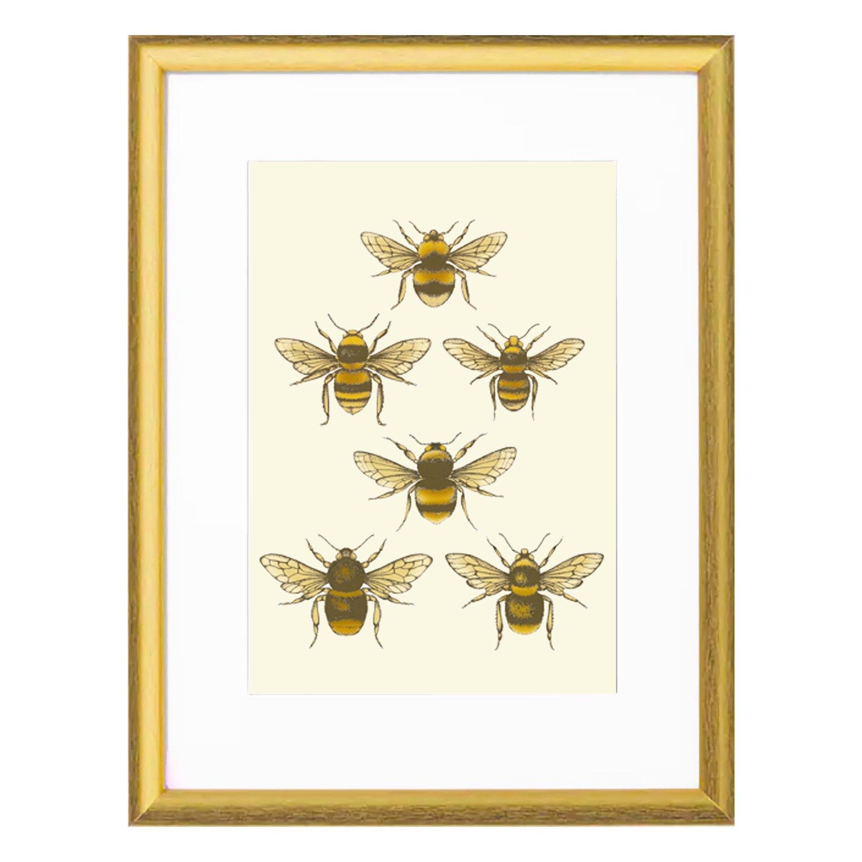 'Antique British Bees' Fine Art Print - Emily Carter London
