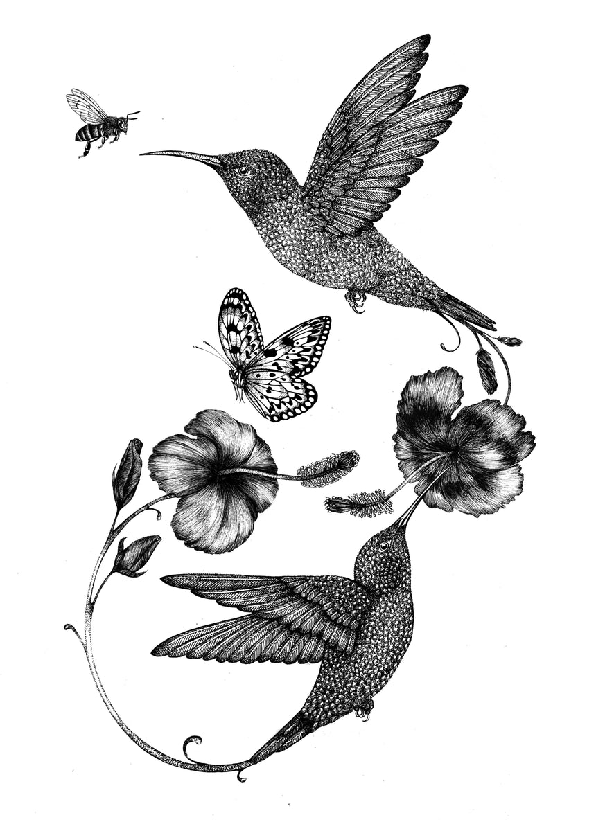 'Hummingbird & Hibiscus' Fine Art Print – Emily Carter London