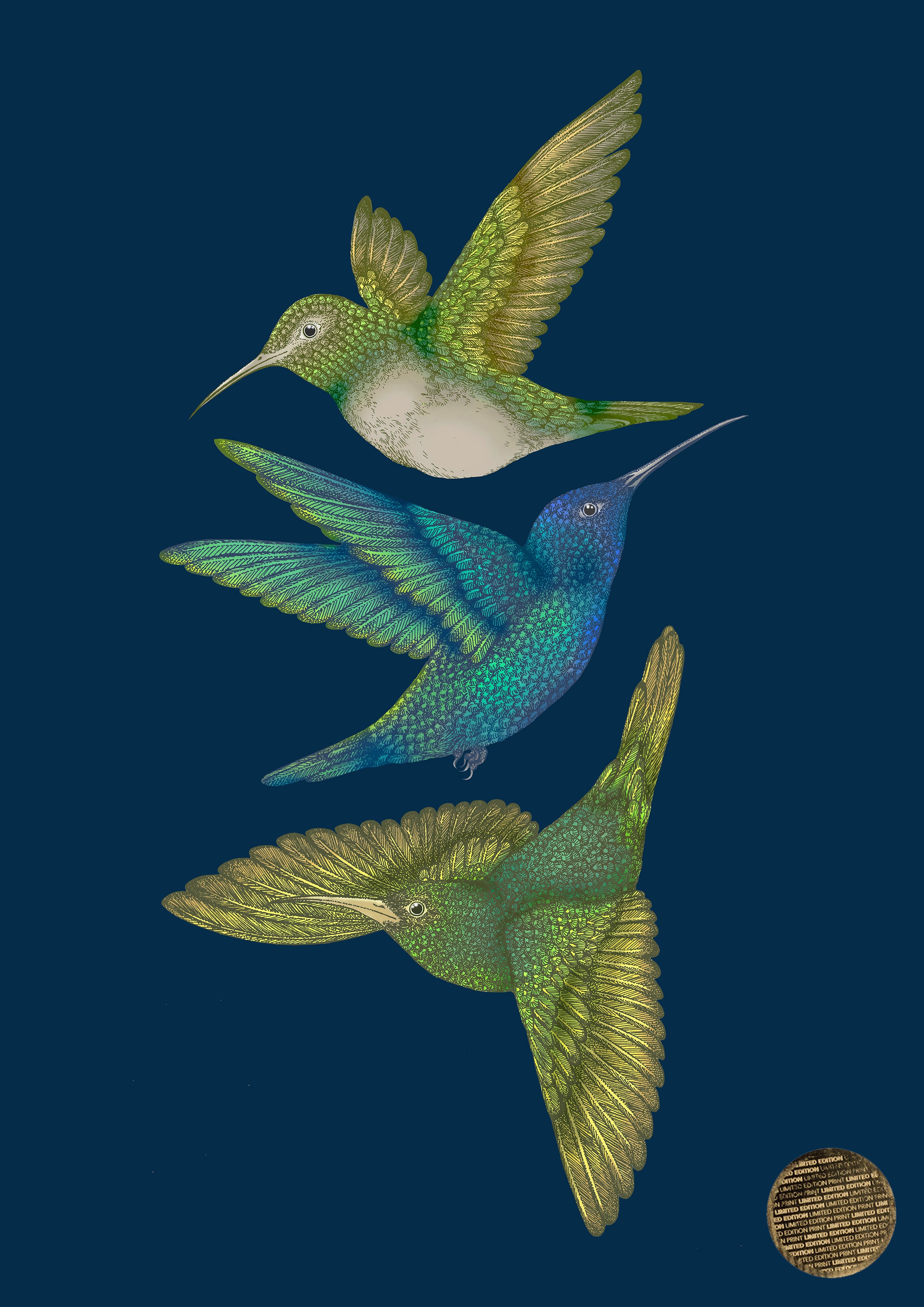Antique Hummingbirds III' Giclée Print A2 - Limited Edition