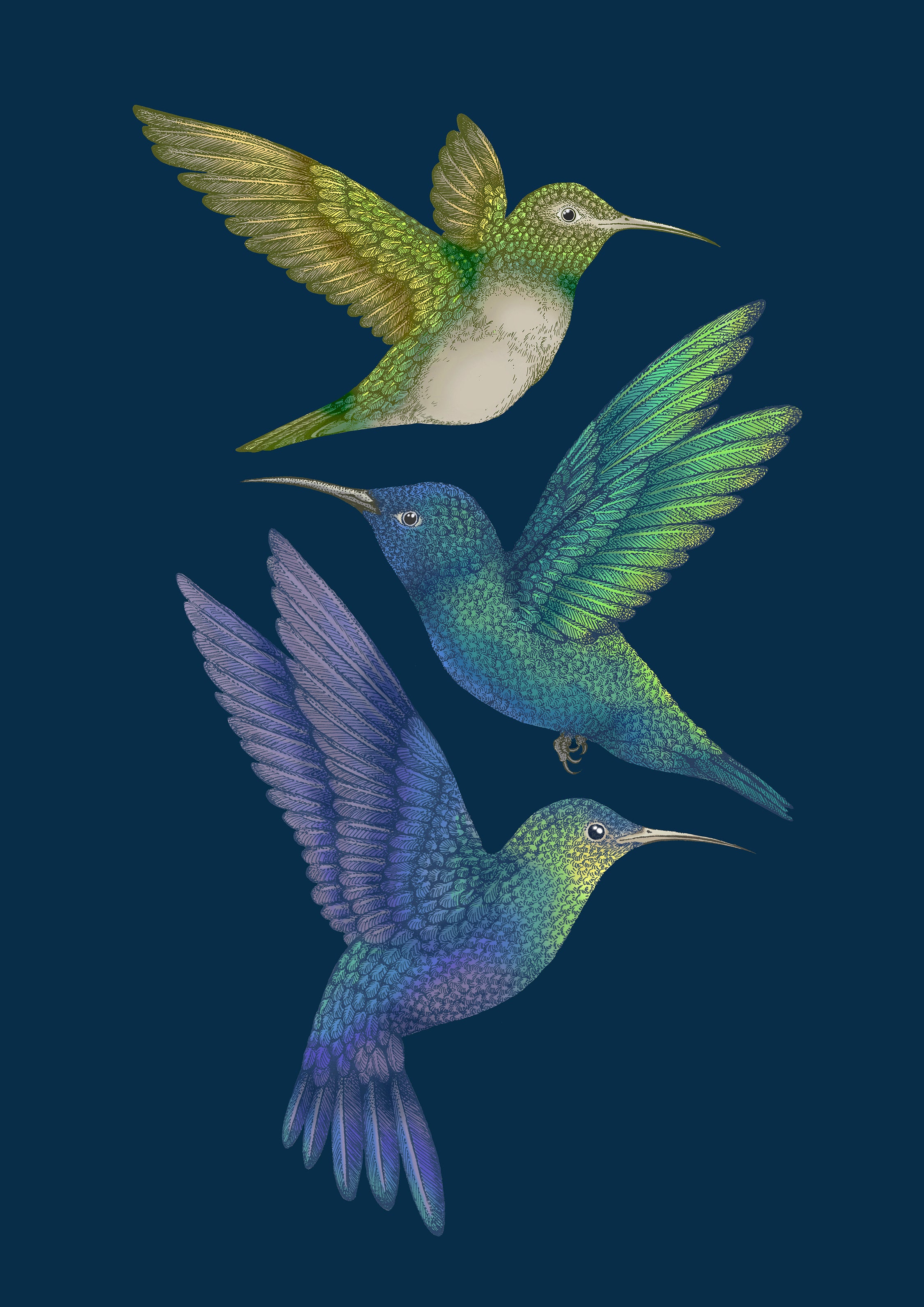 Antique Hummingbirds II' Giclée Print A2 - Limited Edition