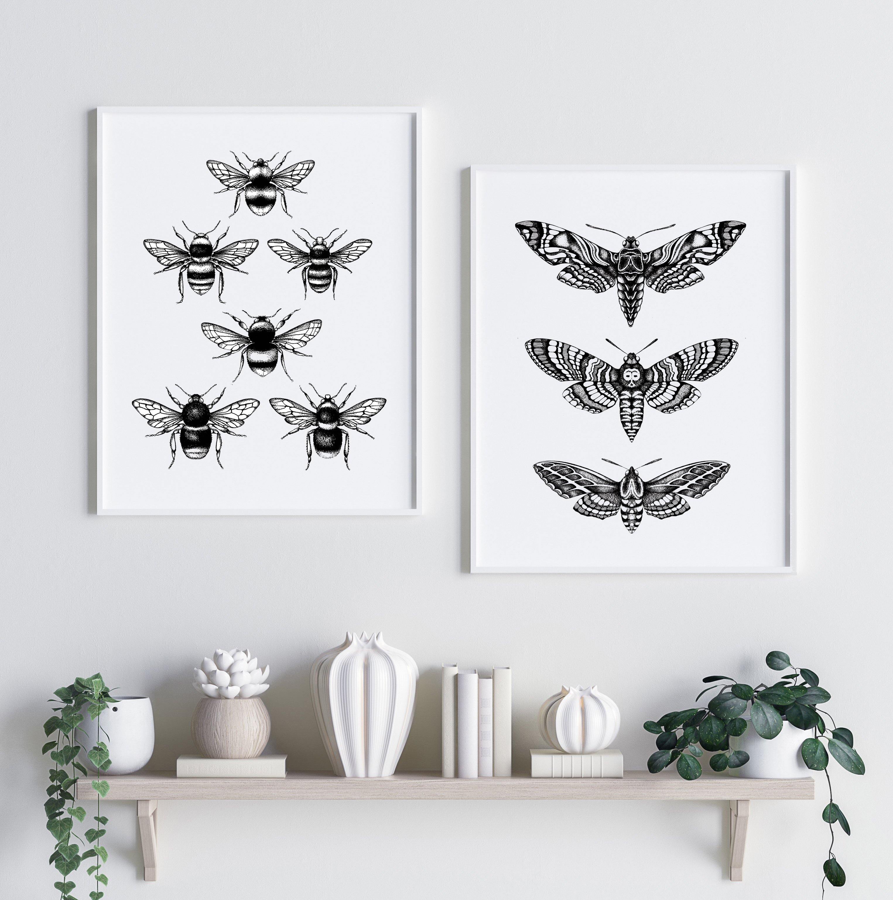 'Hawk Moths' Fine Art Print - Emily Carter London