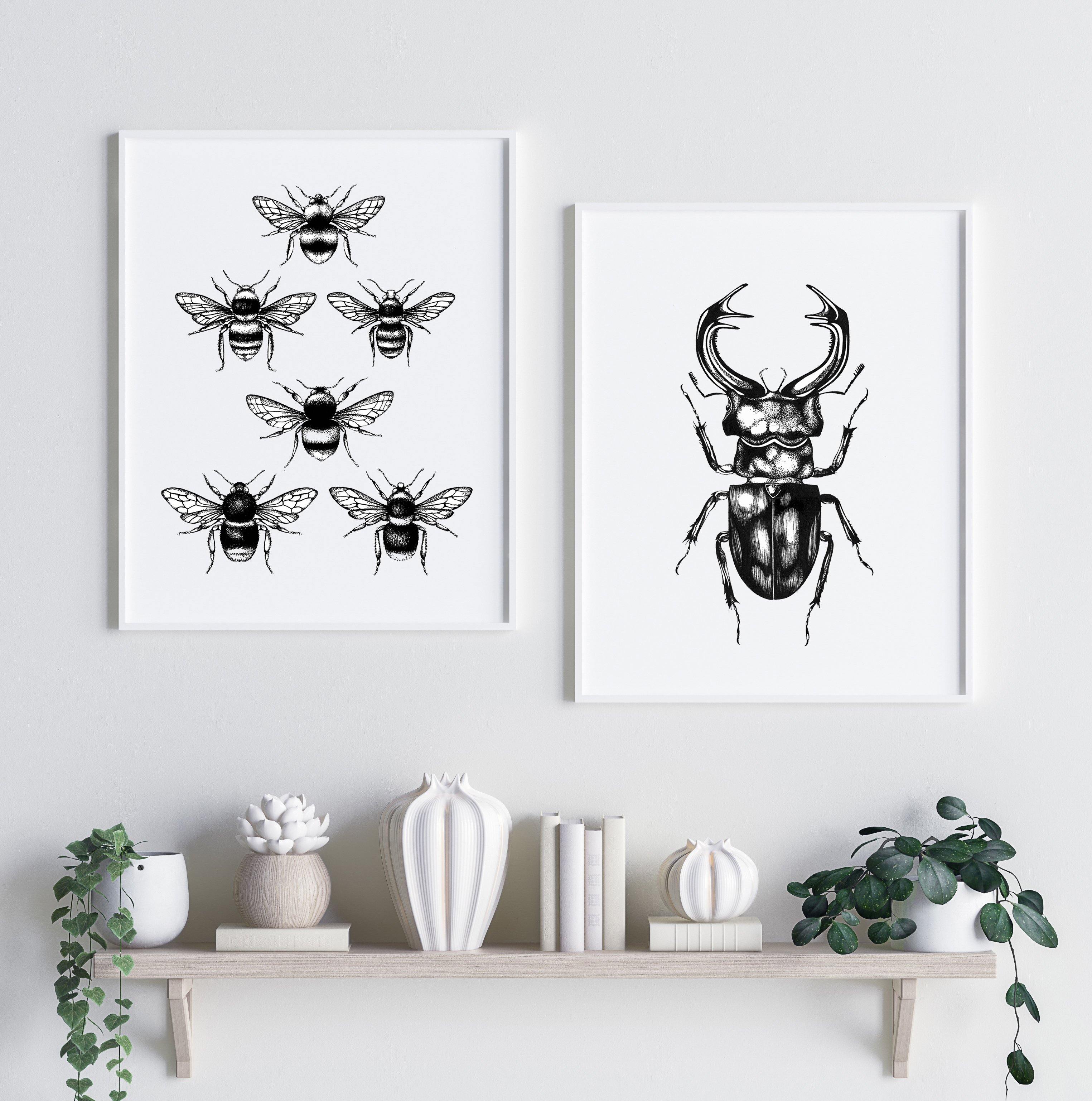 'The Stag Beetle' Fine Art Print - Emily Carter London