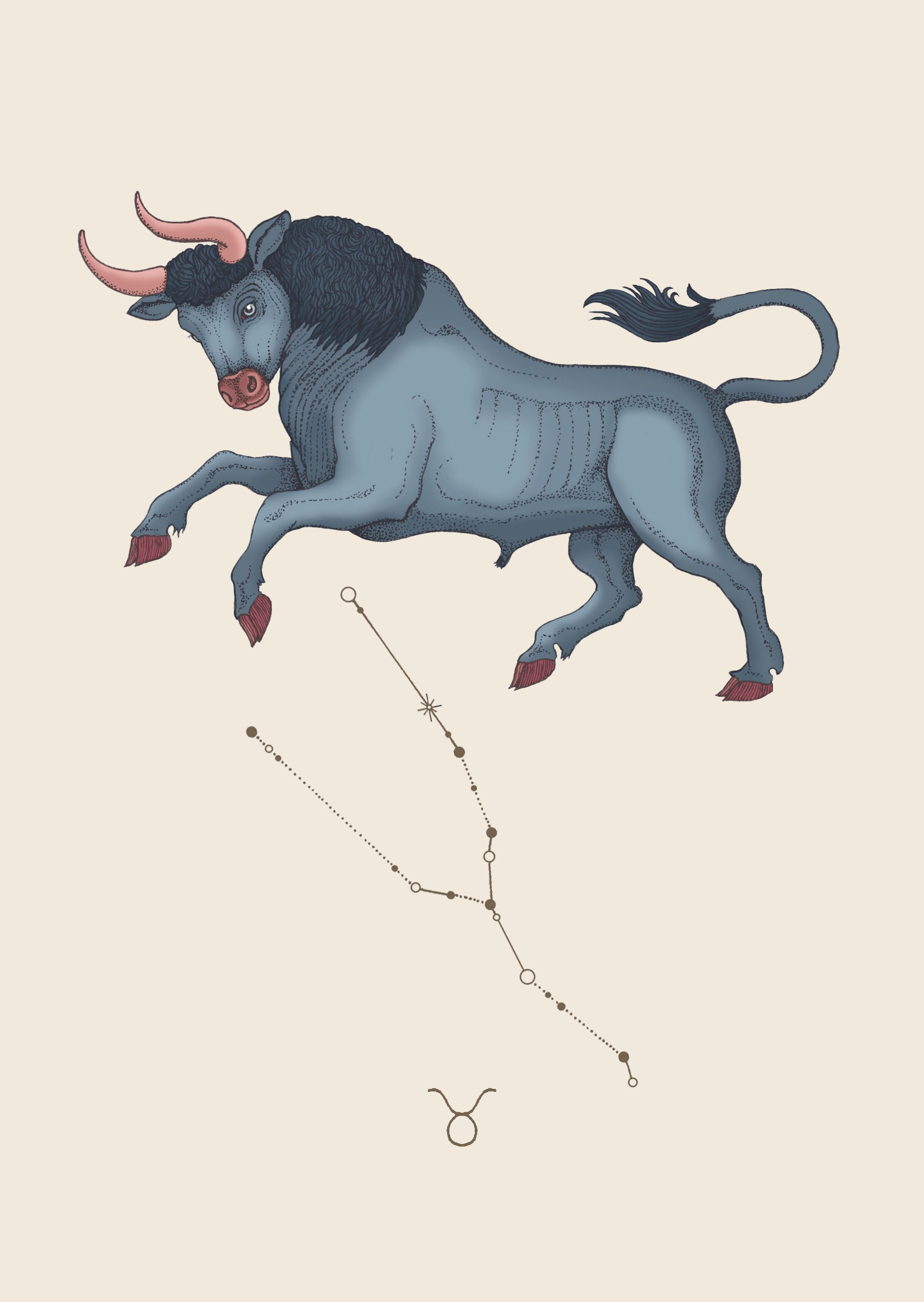 'Taurus Zodiac' Fine Art Print