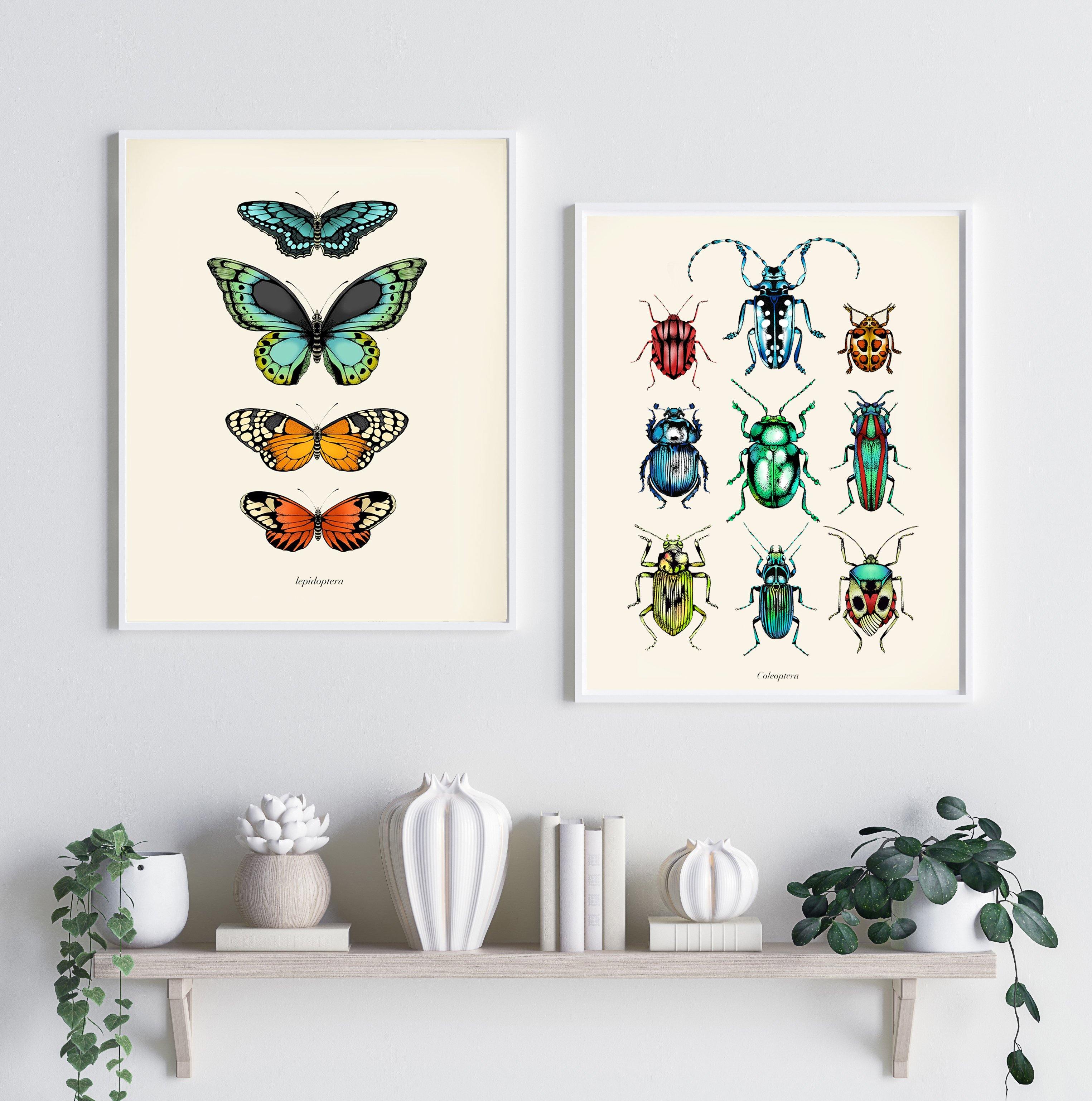 'Antique Tropical Butterflies II' Fine Art Print - Emily Carter London