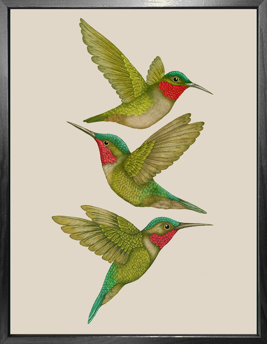 'Antique Tropical Hummingbirds' Cream Fine Art Print