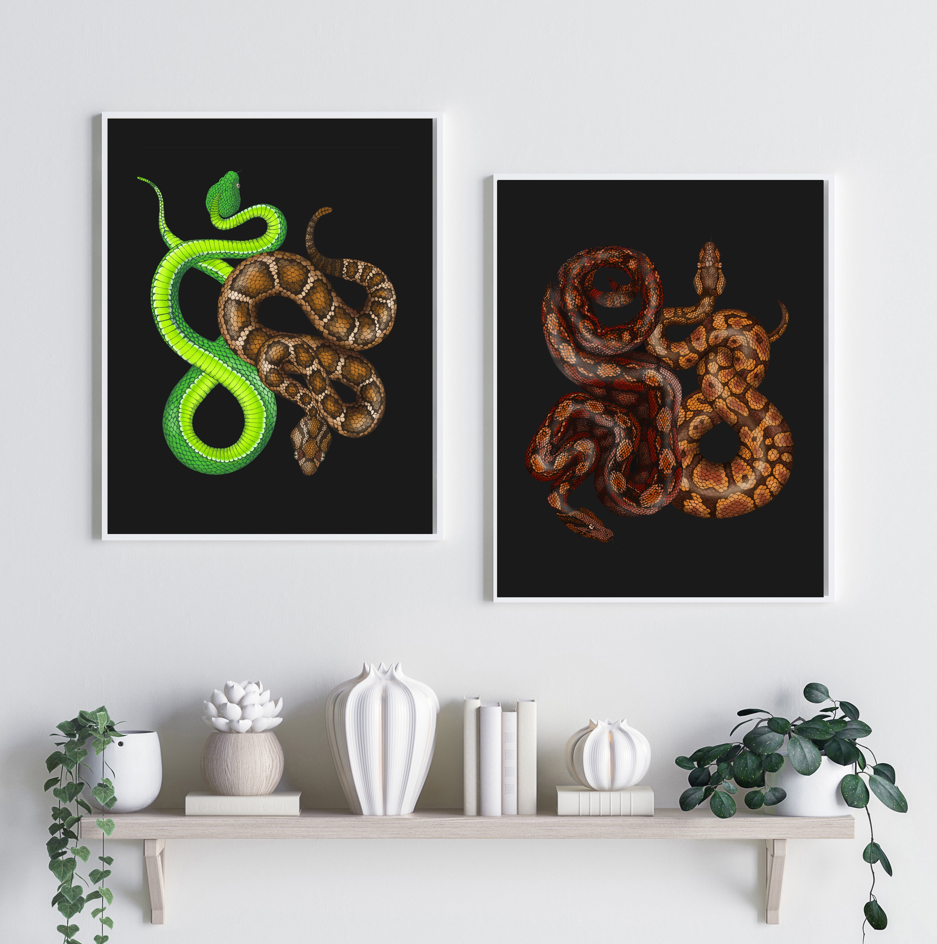 'Antique Viper & Rattle Snake' Fine Art Print