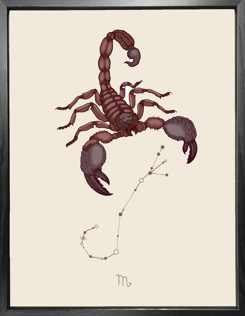'Scorpio Zodiac' Fine Art Print