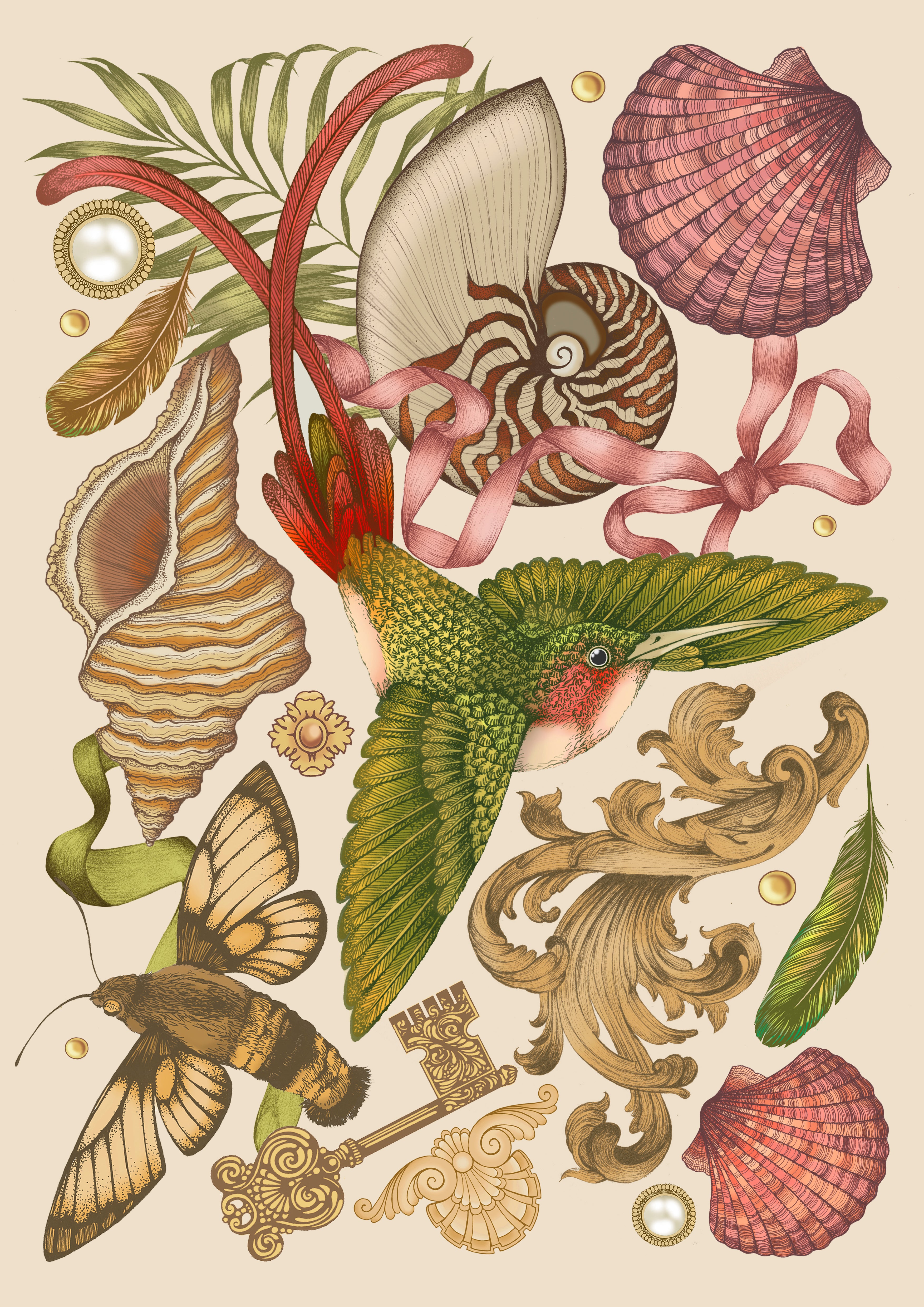 'Hummingbird & Nautilus' Fine Art Print